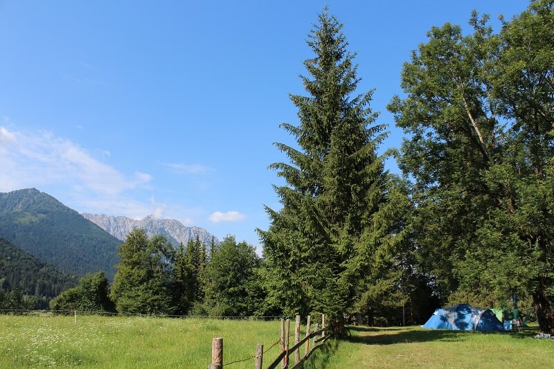 Zelten in Österreich: Zeltwiese Campingplatz Seemühle am Walchsee