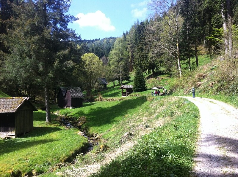 Schwarzwald Kinder beim Wandern