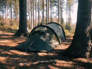 Camping im Schwarzwald: Einsam stehendes Zelt im Schwarzwaldcamp mitten im Wald