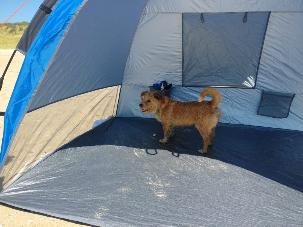 Camping mit Hund- Schatten im Sommer