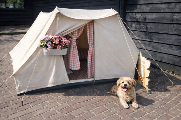Du betrachtest gerade Camping mit Hund : 6 Tipps zur Planung und tolle Plätze