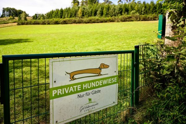 Camping mit Hund - Hundewiese- Ueberland Kalberschnacke