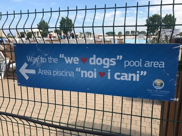 Camping mit Hund - Campingplatz_Hundepool